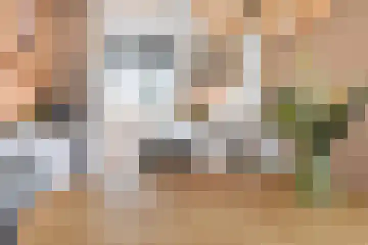 Jasmijn 78 Rijswijk thumbnail 15