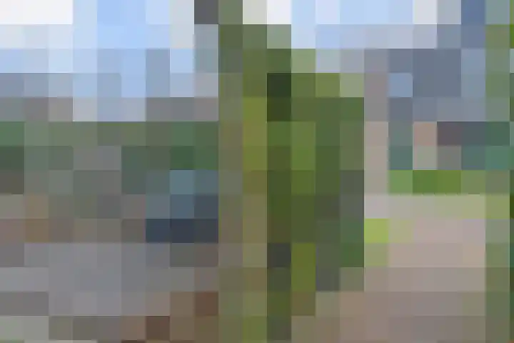 Jasmijn 78 Rijswijk thumbnail 26