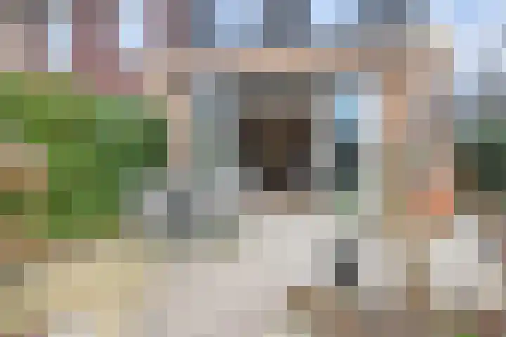 Jasmijn 78 Rijswijk thumbnail 31