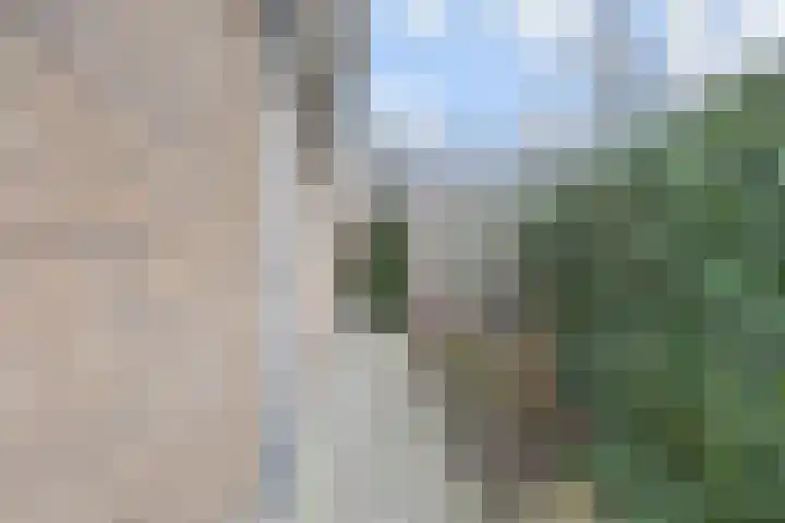 Jasmijn 78 Rijswijk thumbnail 32