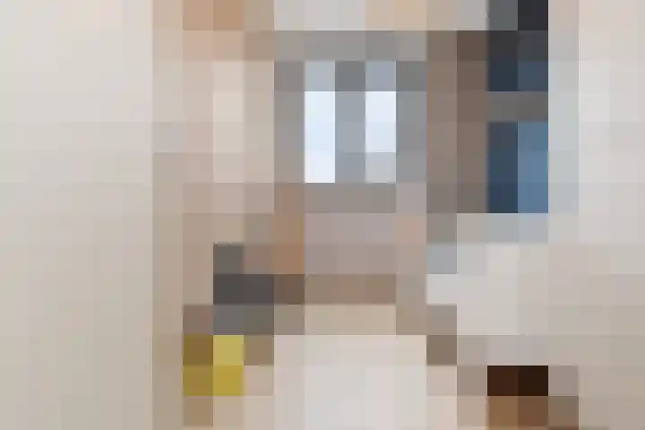 Jasmijn 78 Rijswijk thumbnail 34