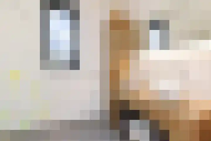 Jasmijn 78 Rijswijk thumbnail 36