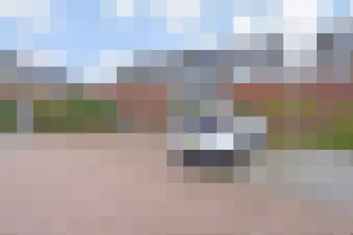 Jasmijn 78 Rijswijk thumbnail 49