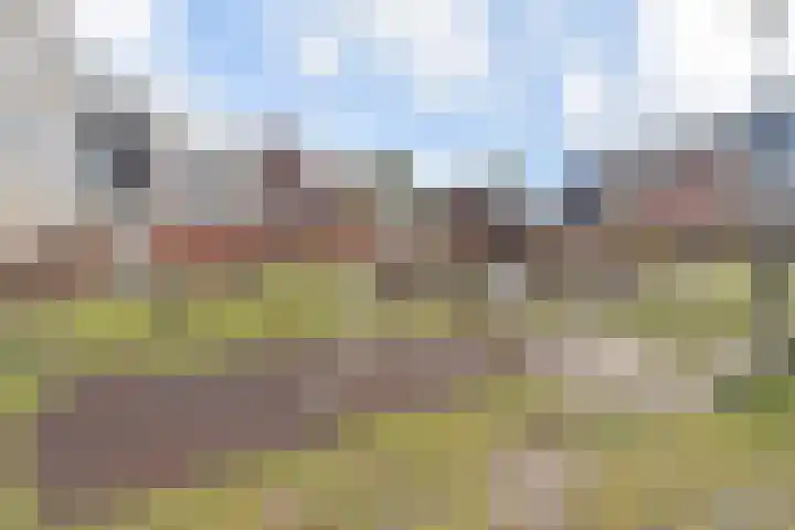 Jasmijn 78 Rijswijk thumbnail 52