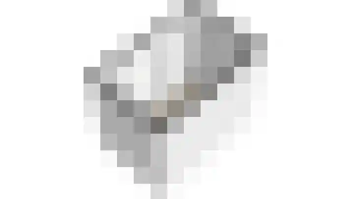 Jasmijn 78 Rijswijk thumbnail 60