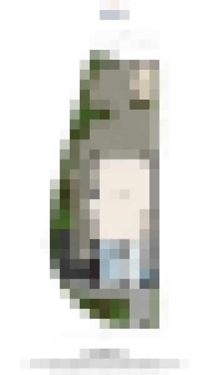 Jasmijn 78 Rijswijk thumbnail 61