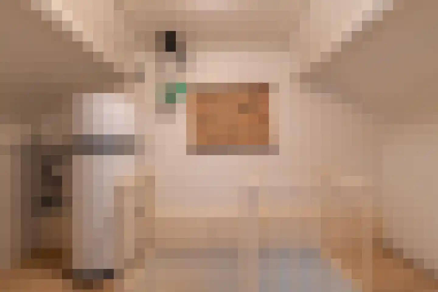 Jasmijn 8 Andel thumbnail 22