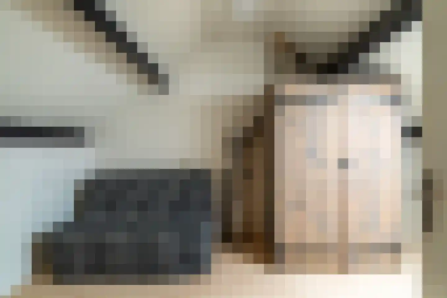 Jasmijn 8 Andel thumbnail 23