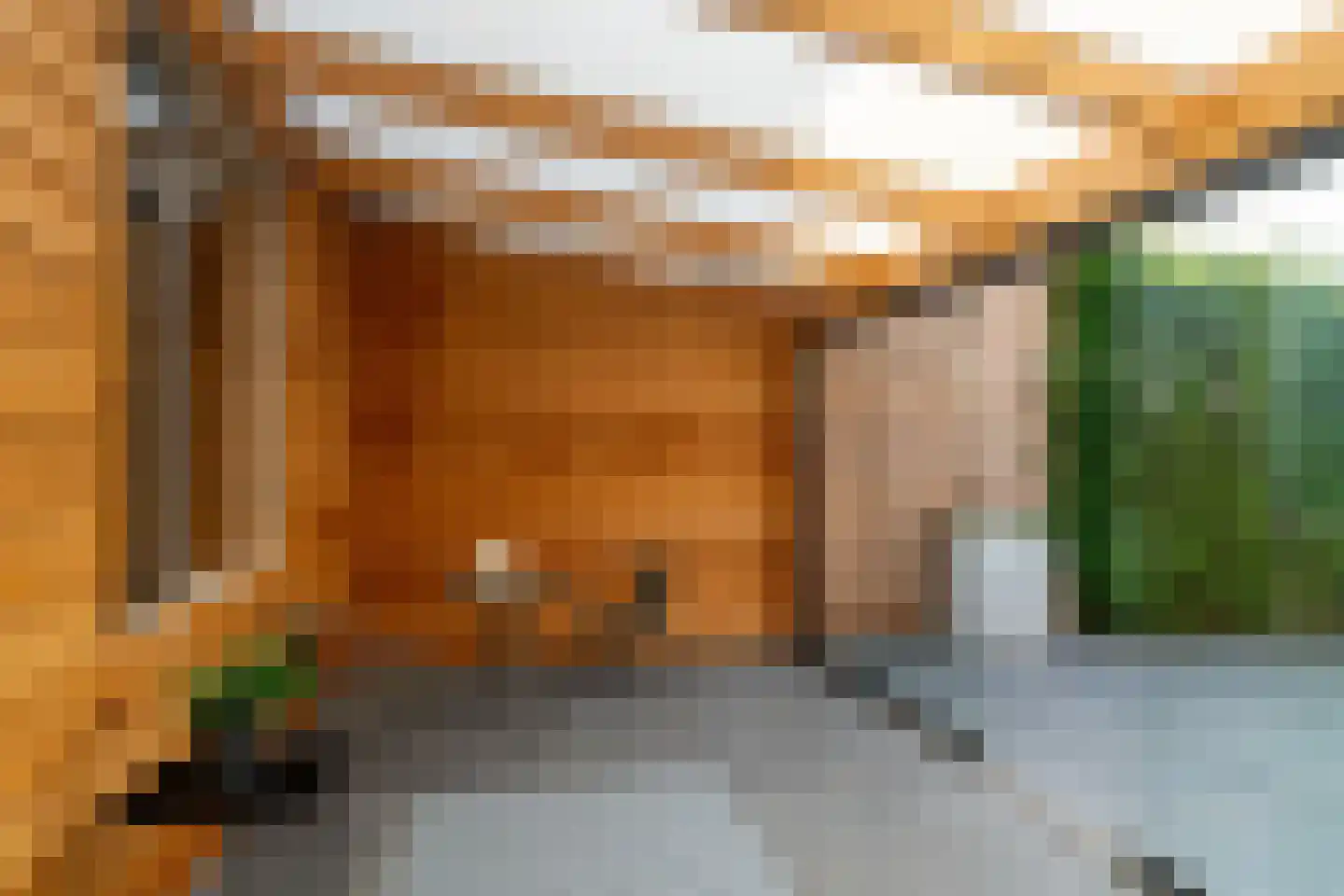 Jasmijn 8 Andel thumbnail 26