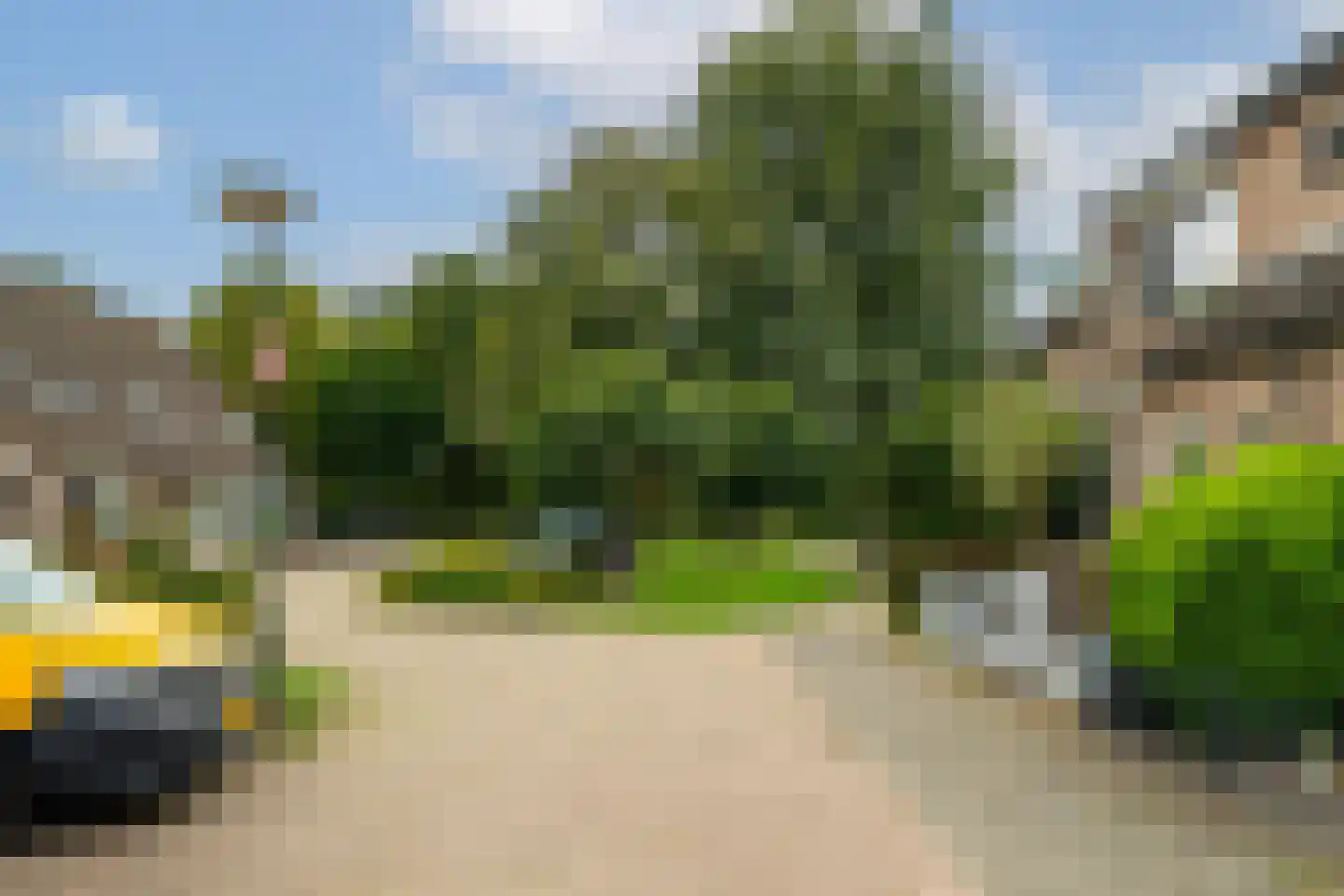 Jasmijn 8 Andel thumbnail 29