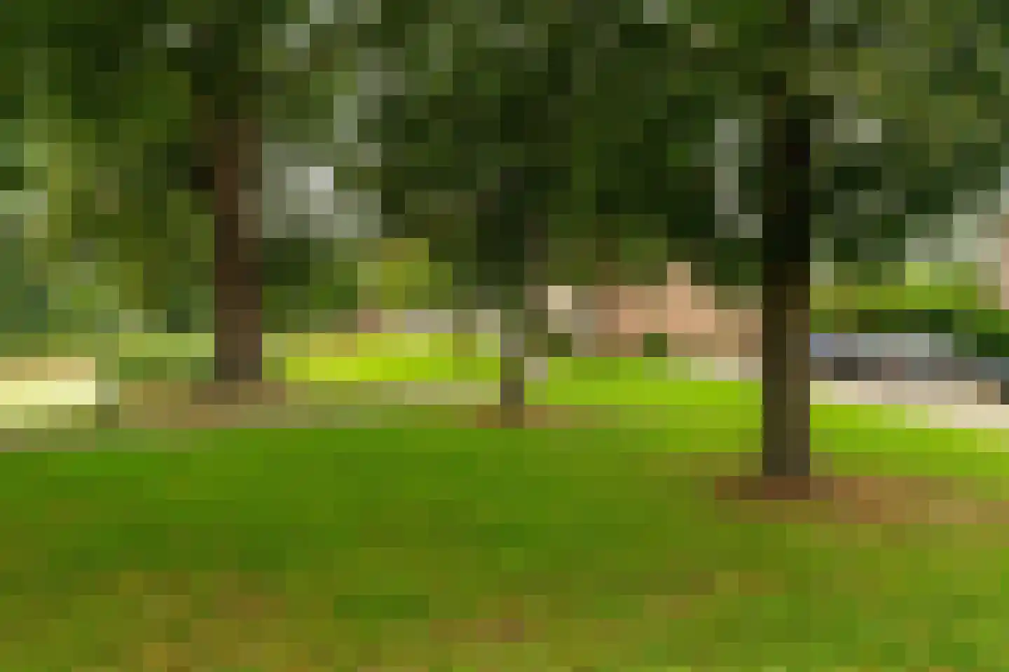 Jasmijn 8 Andel thumbnail 31