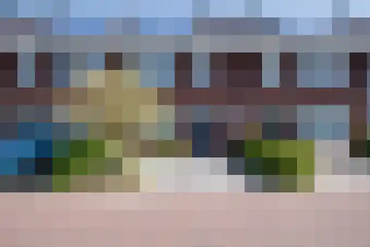 Jasmijn 8 Heerhugowaard