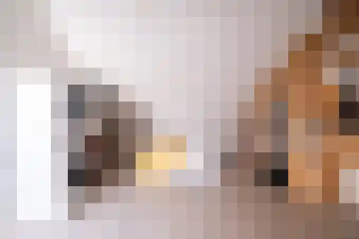 Jasmijn 8 Heerhugowaard thumbnail 20