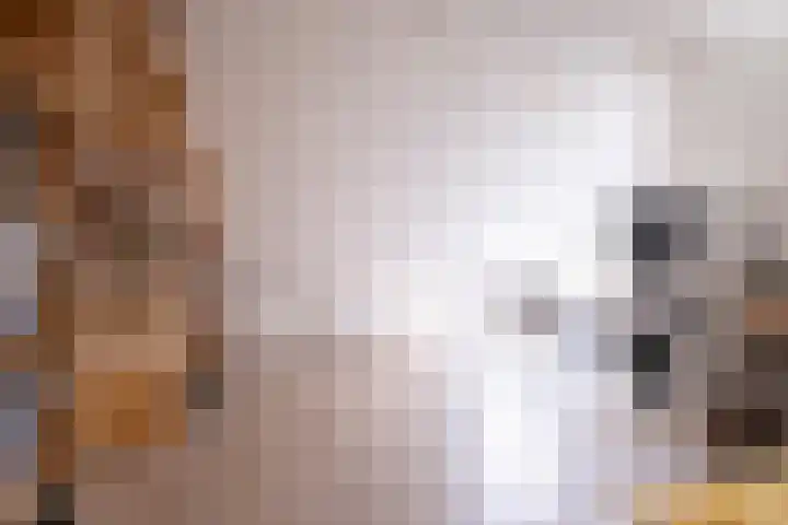 Jasmijn 8 Heerhugowaard thumbnail 21