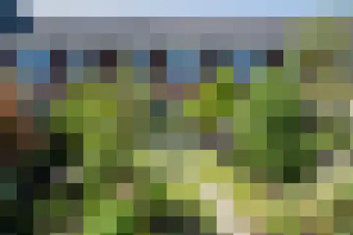 Jasmijn 8 Heerhugowaard thumbnail 23