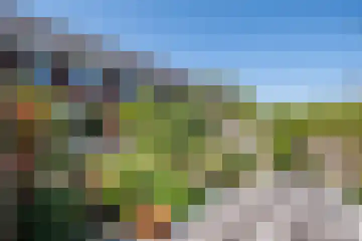 Jasmijn 8 Heerhugowaard thumbnail 24