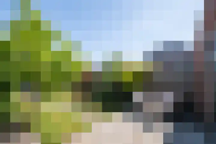 Jasmijn 8 Heerhugowaard thumbnail 25