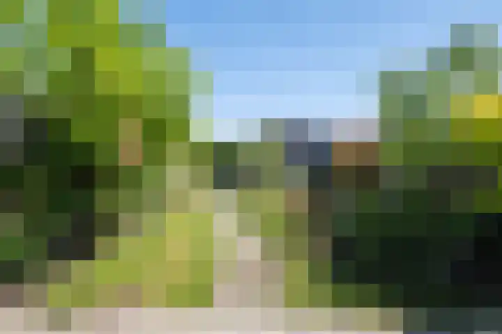 Jasmijn 8 Heerhugowaard thumbnail 26