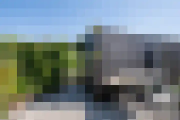 Jasmijn 8 Heerhugowaard thumbnail 27