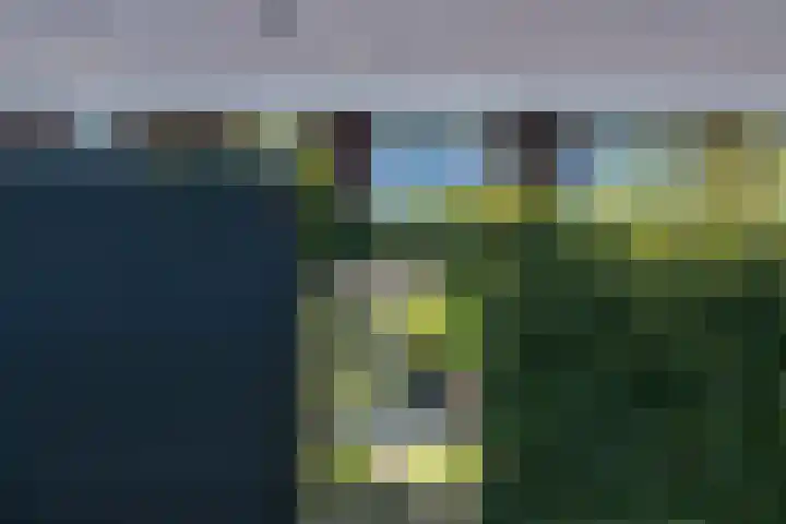 Jasmijn 8 Heerhugowaard thumbnail 28