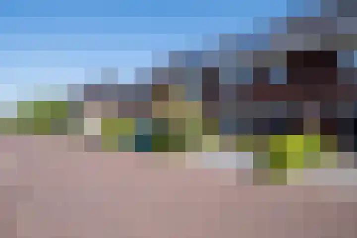 Jasmijn 8 Heerhugowaard thumbnail 29