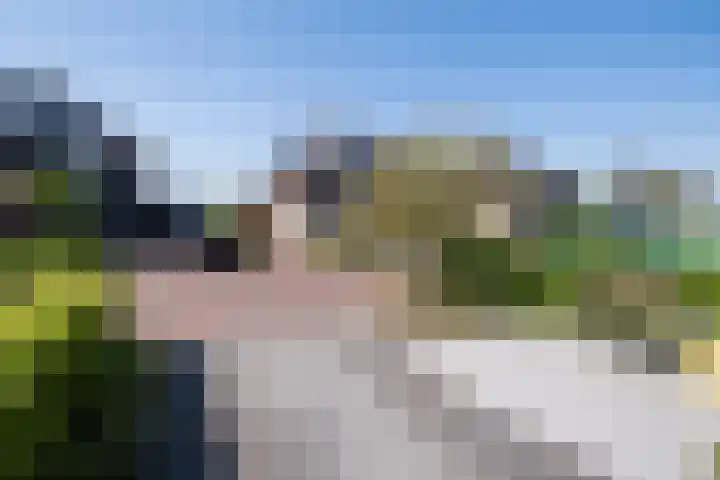 Jasmijn 8 Heerhugowaard thumbnail 31