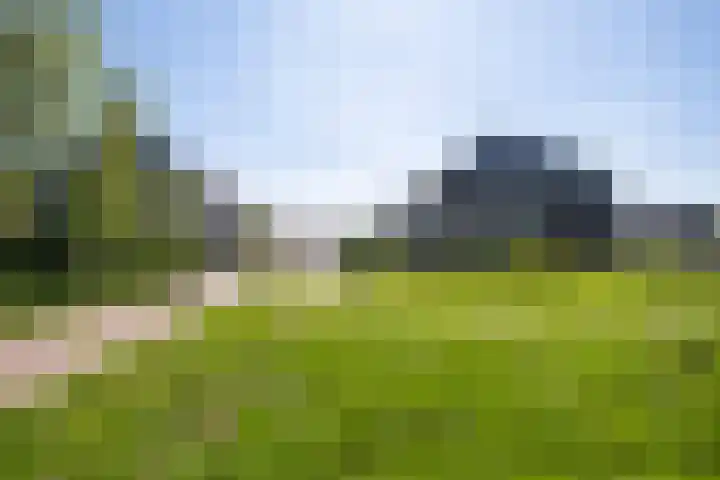 Jasmijn 8 Heerhugowaard thumbnail 32