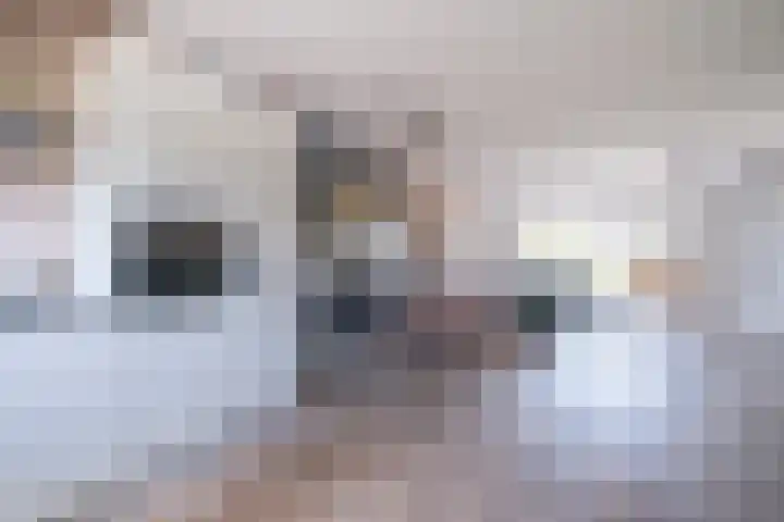 Jasmijn 8 Heerhugowaard thumbnail 9