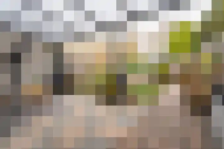 Jasmijn 9 Rhoon thumbnail 17