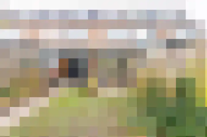 Jasmijn 9 Rhoon thumbnail 5