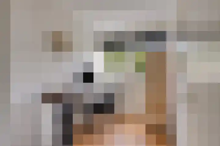 Jasmijnberg 33 Roosendaal thumbnail 19