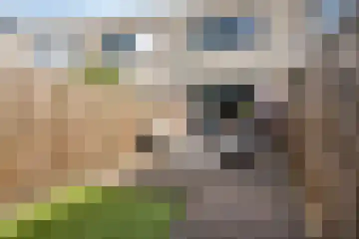 Jasmijnberg 33 Roosendaal thumbnail 24