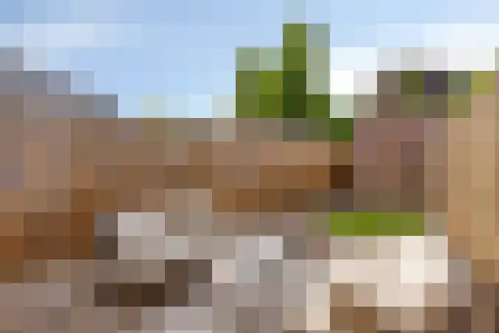 Jasmijnberg 33 Roosendaal thumbnail 27
