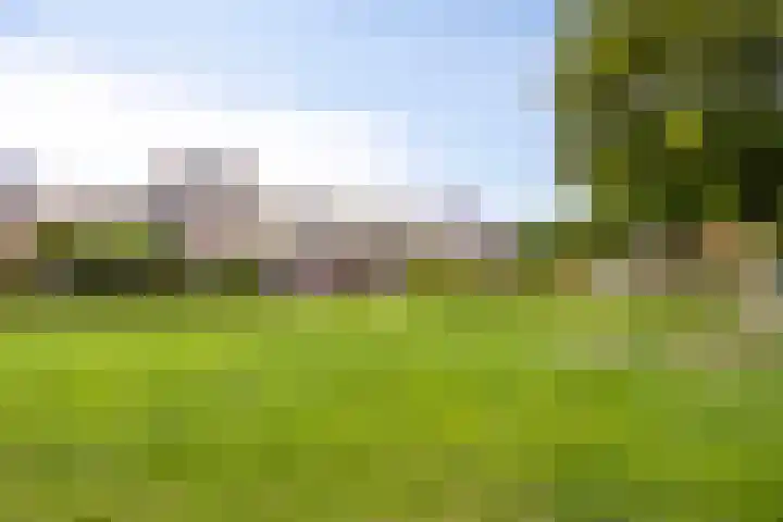 Jasmijnberg 33 Roosendaal thumbnail 31