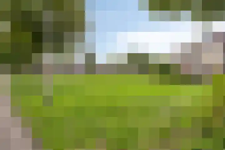 Jasmijnberg 33 Roosendaal thumbnail 32