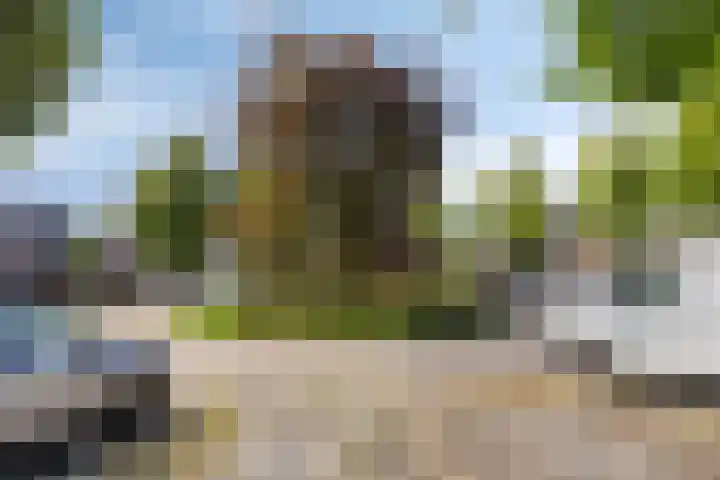 Jasmijnberg 33 Roosendaal thumbnail 33