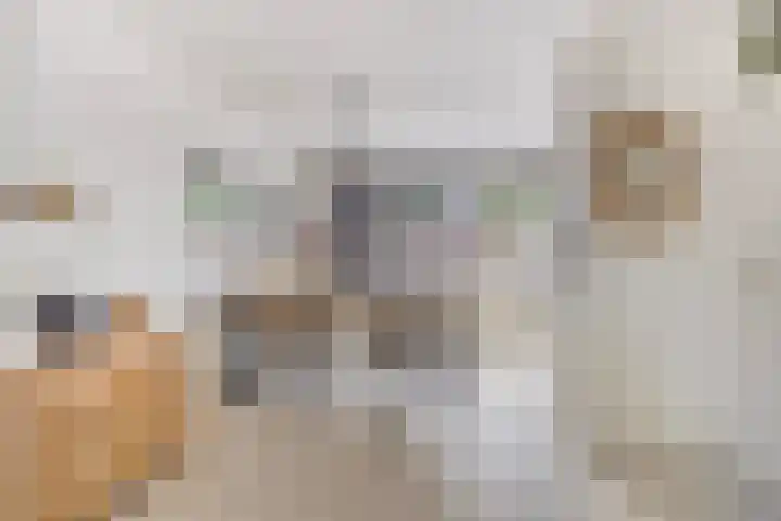 Jasmijnberg 33 Roosendaal thumbnail 9