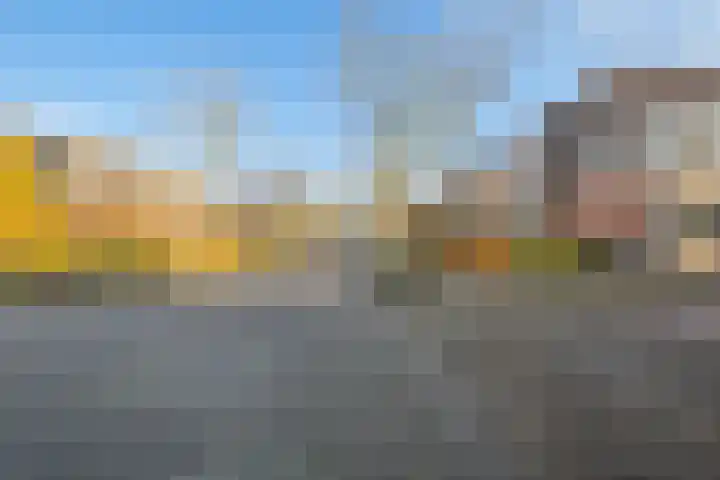 Jasmijnberg 48 Roosendaal thumbnail 68
