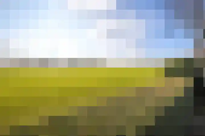 Jasmijnberg 48 Roosendaal thumbnail 7