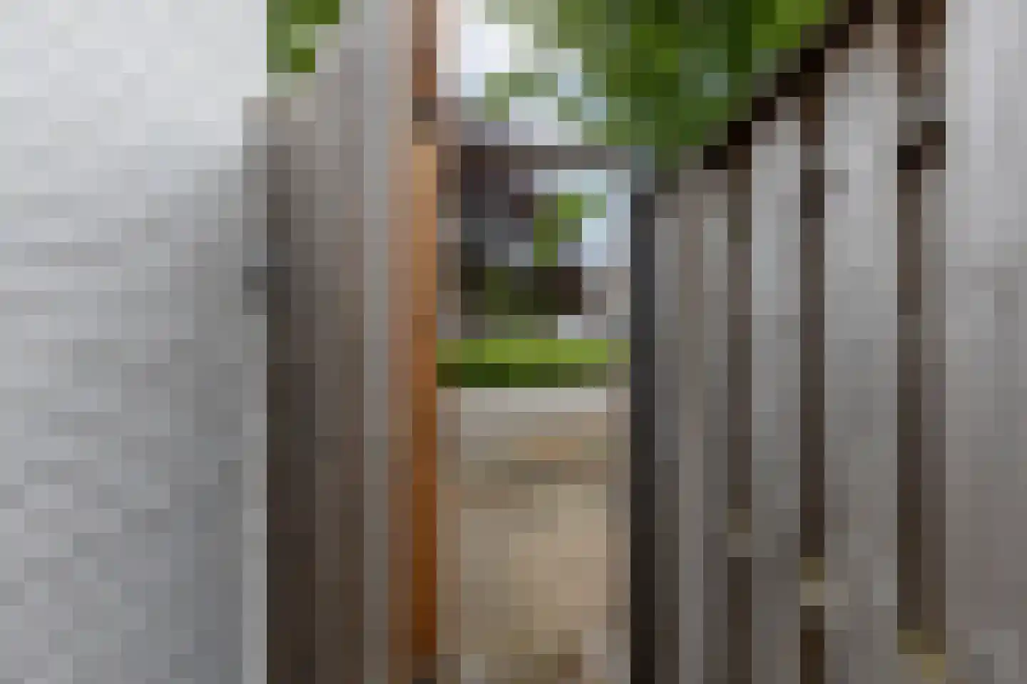 Jasmijnberg 59 Roosendaal thumbnail 32