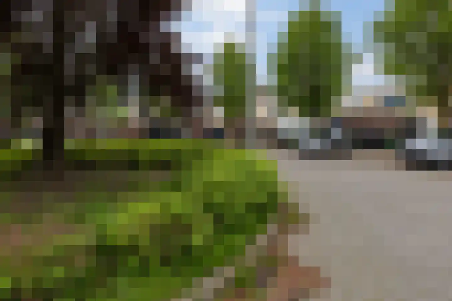 Jasmijnberg 59 Roosendaal thumbnail 33
