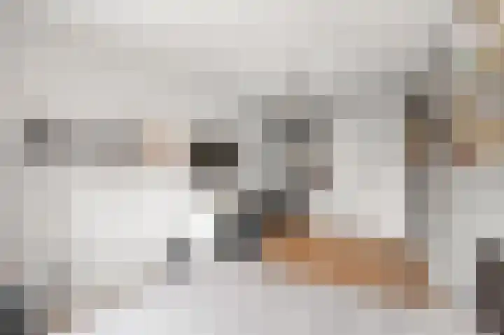 Jasmijnberg 69 Roosendaal thumbnail 21
