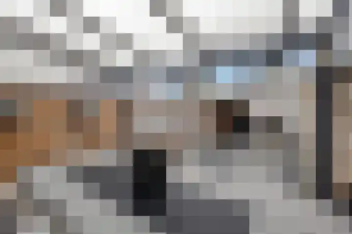 Jasmijnberg 69 Roosendaal thumbnail 42