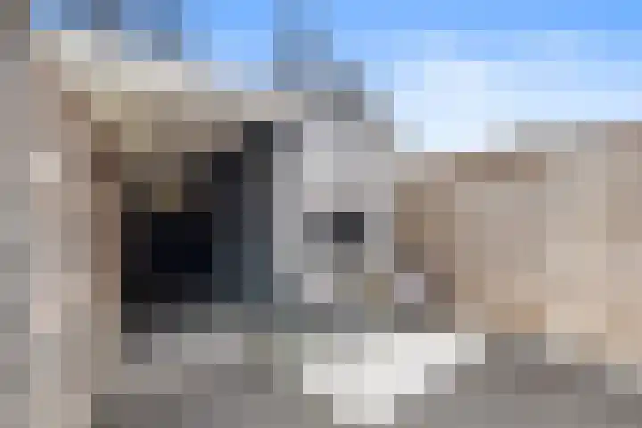 Jasmijnberg 69 Roosendaal thumbnail 47
