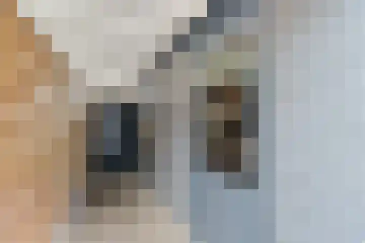 Jasmijnberg 69 Roosendaal thumbnail 48
