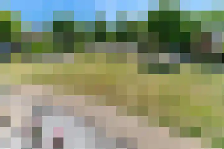 Jasmijnberg 85 Roosendaal thumbnail 19