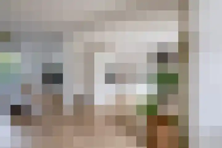 Jasmijnhof 20 Waalwijk thumbnail 12