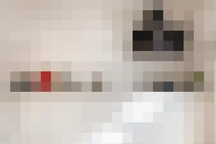 Jasmijnhof 20 Waalwijk thumbnail 13