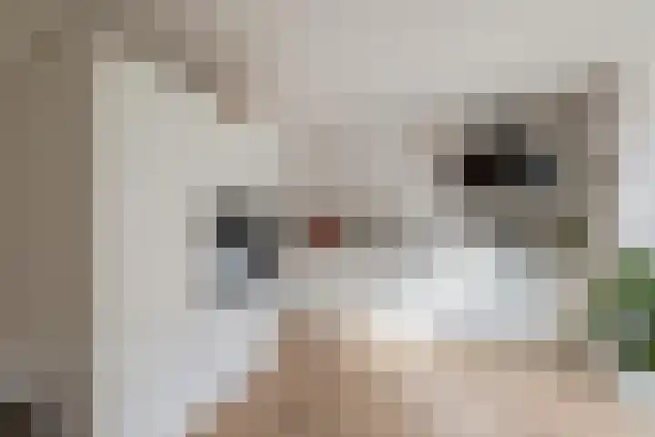 Jasmijnhof 20 Waalwijk thumbnail 14