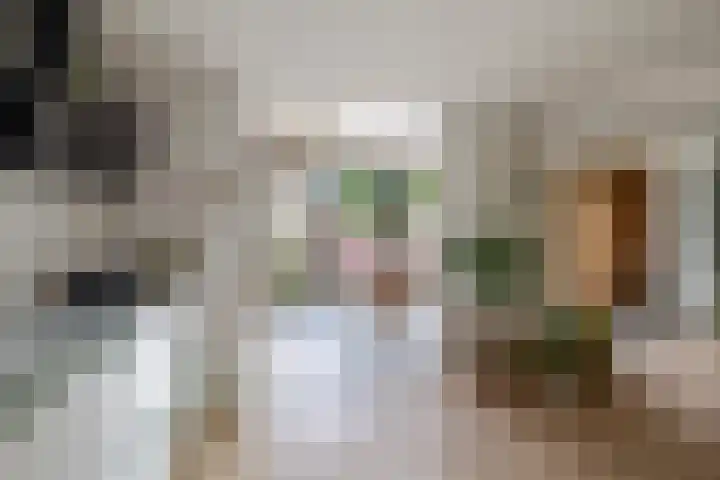 Jasmijnhof 20 Waalwijk thumbnail 16
